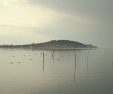 Lago Trasimeno. 