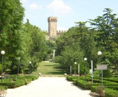 Castello Carrarese. Il Castello a Este
