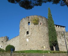 Castello di Gorizia. Il Castello di Gorizia del secolo XI
