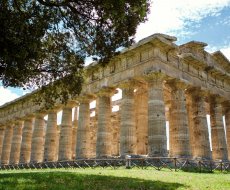 Tempio di Poseidone - Parco Archeologico di Paestum (SA). Prospettiva del tempio greco