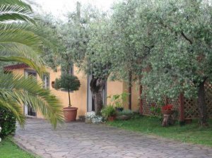 <p>Nice self catering with living room, sofa bed, little kitchen,one bedroom and one bathroom. Next there is a private area with table and chairs. Private parking.</p>