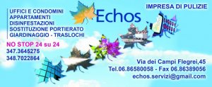 ECHOS Servizi di Pulizia - Photo 2