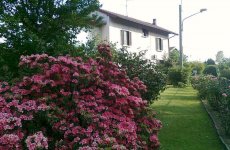 Visit Bed and breakfast dei laghi 's page in Brebbia