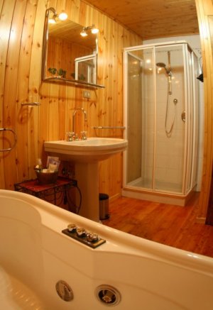 Ampio bagno dotato di doccia e vasca idromassaggio Jacuzzi. 
Forniamo gratuitamente asciugamani, prodotti per l'igiene della persona, asciugacapelli.