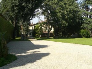 Villa cantoni - Foto 6