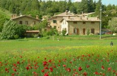 Visit Residence i girasoli's page in Camerino