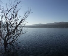 Laghi di Avigliana. Panorama del lago