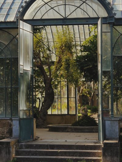 Orto Botanico dell'Università degli Studi di Palermo