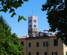 Campanile del Duomo di San Martino. La torre campanaria di Lucca