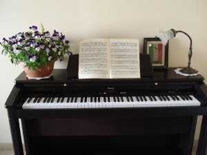 Photos Piano, book and guitar free for our guests