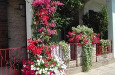 Visit B&b fabrizia's page in Cadoneghe