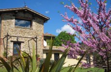 Visitez la page de Villa mandorli dans Passignano Sul Trasimeno