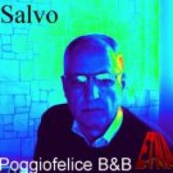 Visita la página de Salvatore Lupica
