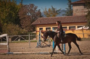 Una scuola di equitazione dove potrete conoscere il mondo del cavallo e viverlo nella quotidianità!
