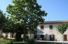 Visit Fontecese bed and breakfast's page in Gubbio