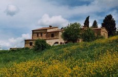 Visit Podere finerri - the lazy olive apartments's page in Asciano