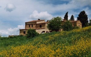 Podere Finerri - The Lazy Olive apartments - Photos 1