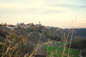 Le colline del Monferrato, zona in cui si trova il nostro b&B, sono coltivate prevalentemente per produrre la Barbera d'Asti, vino conosciuto da tutto il Mondo.  Si producono altri tipi di vini rossi quali il Grignolino, il Freisa. 