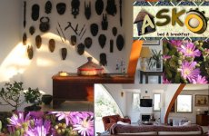 Visit Bed and breakfast asko's page in Lizzanello