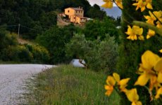 Besuchen Sie Agriturismo i pianali Seite in Chiusdino