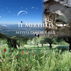 Il Mirtillo -  Monte Cucco - Photo 1